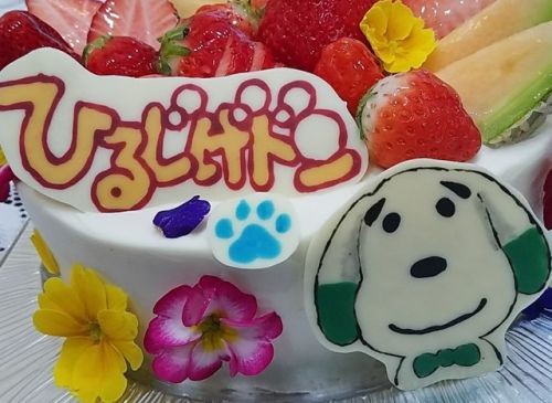 ★ひるじげドンの放送当日犬ちゃんのケーキ 1☆
