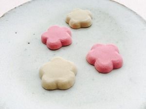 第1031回 梅 園の『飛 梅』と焼饅頭『東風梅』