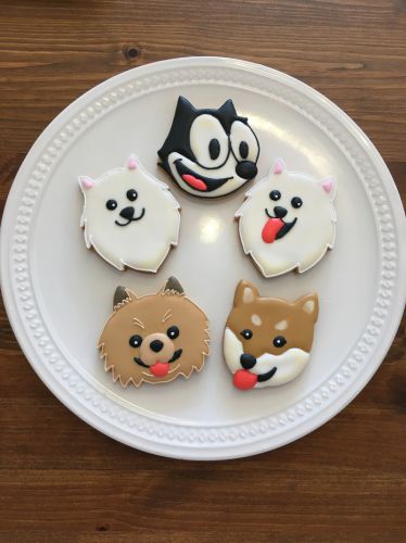 フィリックスと犬のクッキー