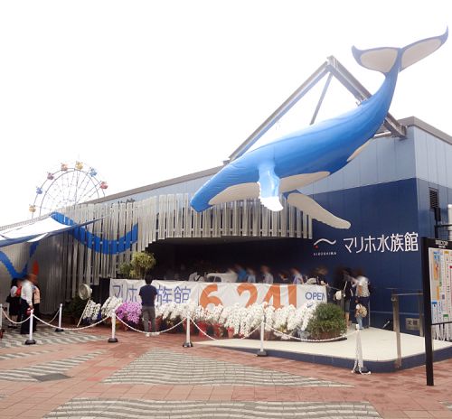 マリホ水族館 名物スイーツ!チンアナゴソフトは絶対食べたい!(広島市西区観音マリーナホップ空海館)