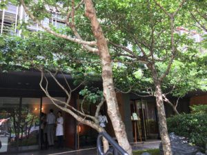 サニーヒルズ・微熱山丘 台北本店のパイナップルケーキ♪