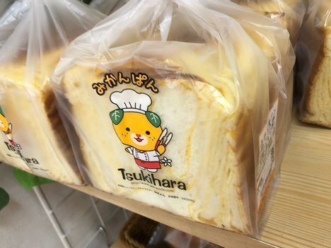 【スイーツ】愛媛県の高速SAで見つけたみかんの香り高いデニッシュ【パン】石鎚山SA下り売店(愛媛県 西条市)