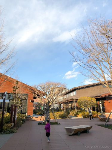 昭島市・MORI PARK Outdoor VillageのSnow Peak Eatでアツアツアップルパイを食べてきました。