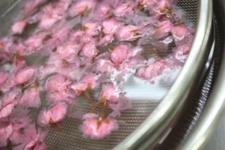 桜スイーツ