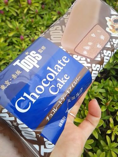 トップス チョコレートケーキアイスバー
