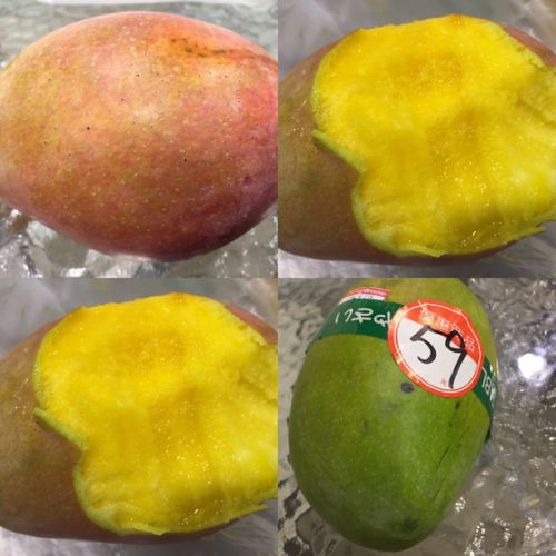 台湾に行きタイワン!台湾放浪記その3スイーツ前半☆