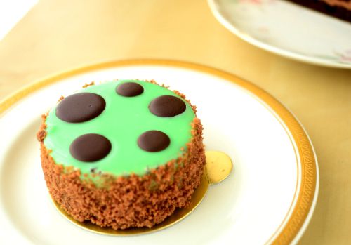 【アカシエ】チョコミントのケーキ!シャルムマント