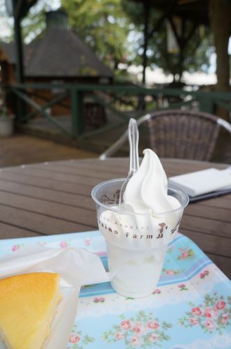 まかいの牧場ソフトと富士山チーズケーキ♪