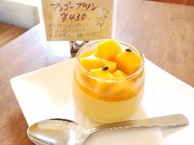 マンゴープリンの季節です!