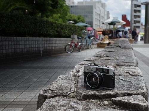 フィルムプリントを待つ間、葉牡丹で一杯