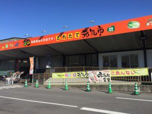 今の楽しみは、プリンを食べる事!