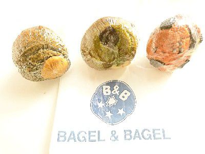 あずき豆乳まふぃん&ストロベリービスケットクリーム&米粉70ベーグル&米粉黒豆きなこベーグル&米粉抹茶あずきベーグル 204&アップルキャラメルベーグル@BAGEL and BAGEL