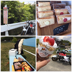 シフォンケーキ テイクアウト専門店☆K子のパンとシフォンケーキ玄気屋☆