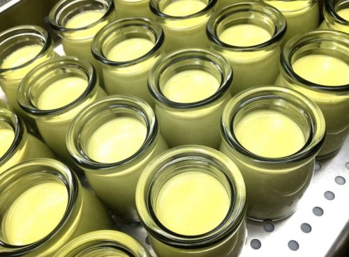 シマ桑茶を使った珍しい低糖プリンを製造!