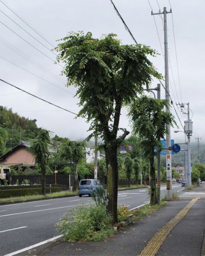 北環沿い「菓子工房うらやか」にて、ケーキを買って帰る