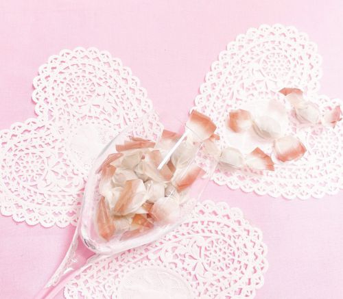 2022 St.Valentine’s Day チョコレート特集~8~