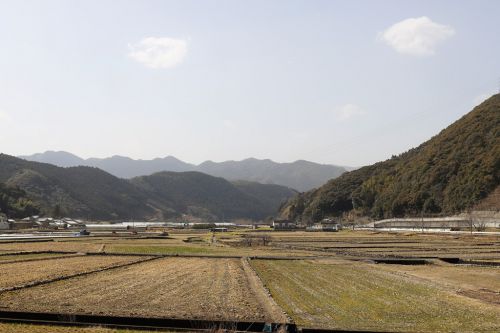 土曜限定!佐川町「くり蔵」でスイーツを買う