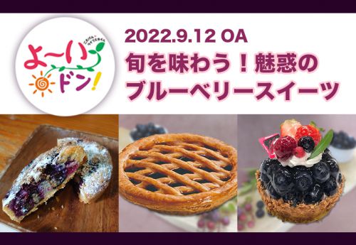 【関西テレビ「よ~いドン!」三坂美代子のオススメ~旬を味わう!魅惑のブルーベリースイーツ~】(2022.09.12OA)